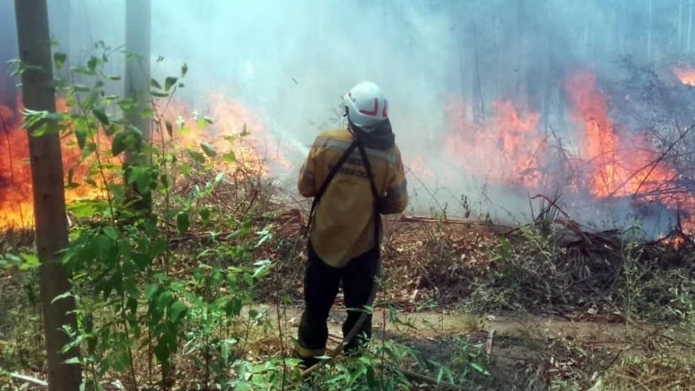 Incendios forestales azotan el departamento Concordia
