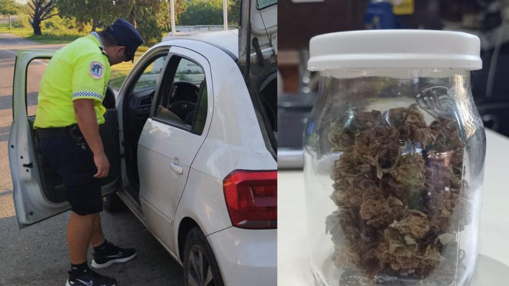 Intentaban ingresar a la provincia con cogollos de marihuana