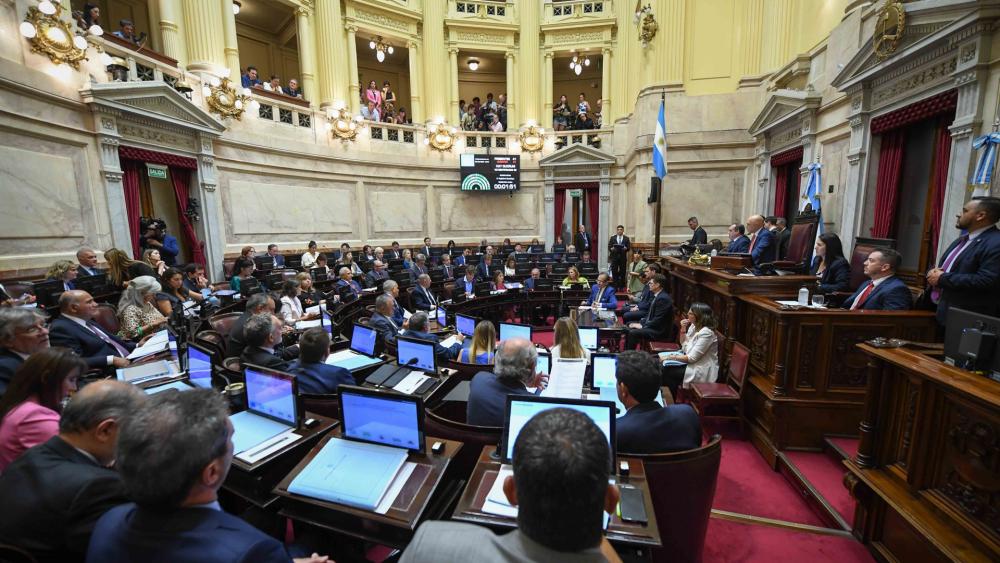 El Senado nacional sancionó la ley que suspende las PASO para este año