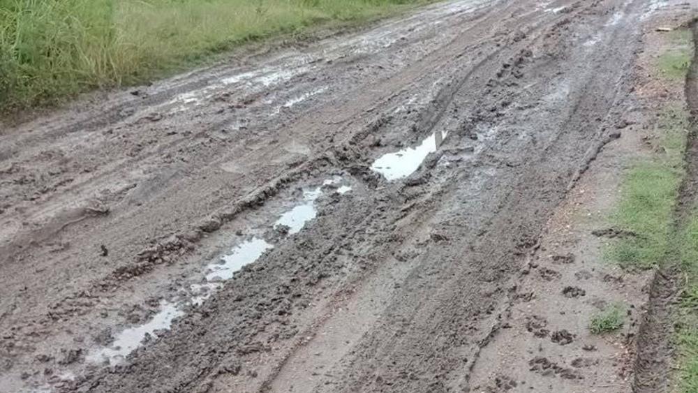 Vecinos de San Salvador reclaman por la falta de mantenimiento de calle Leguizamón