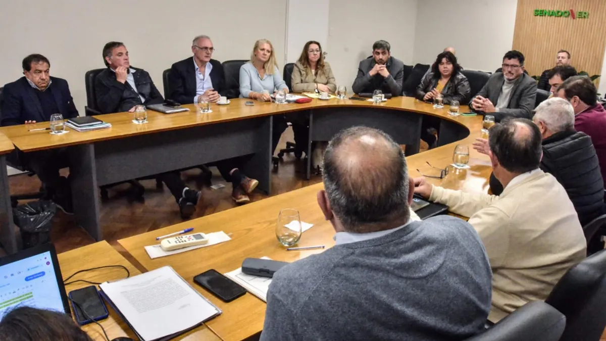 El Senado avanza para darle a Frigerio herramientas para renegociar la deuda pública