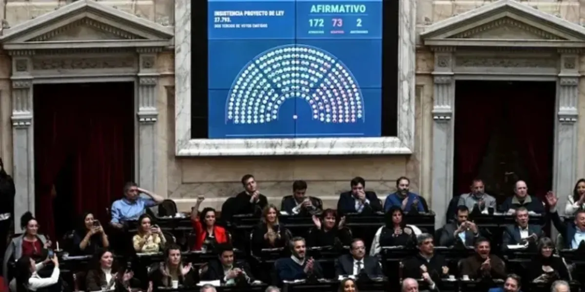 Diputados rechazaron el veto presidencial a la Ley de emergencia en Discapacidad