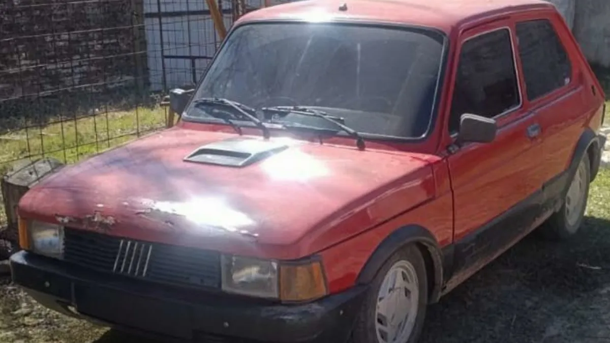 Detectaron irregularidades en el motor de un automóvil FIAT durante una verificación técnica