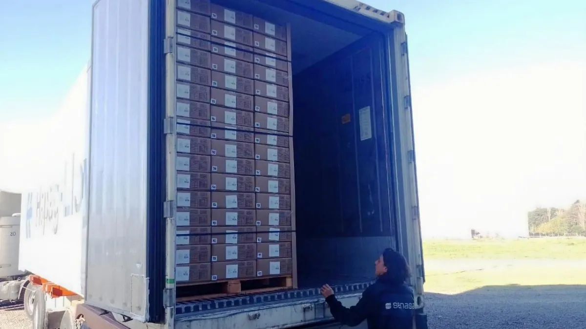 Certifican la exportación de casi 29 toneladas de nuez pecán entrerriana
