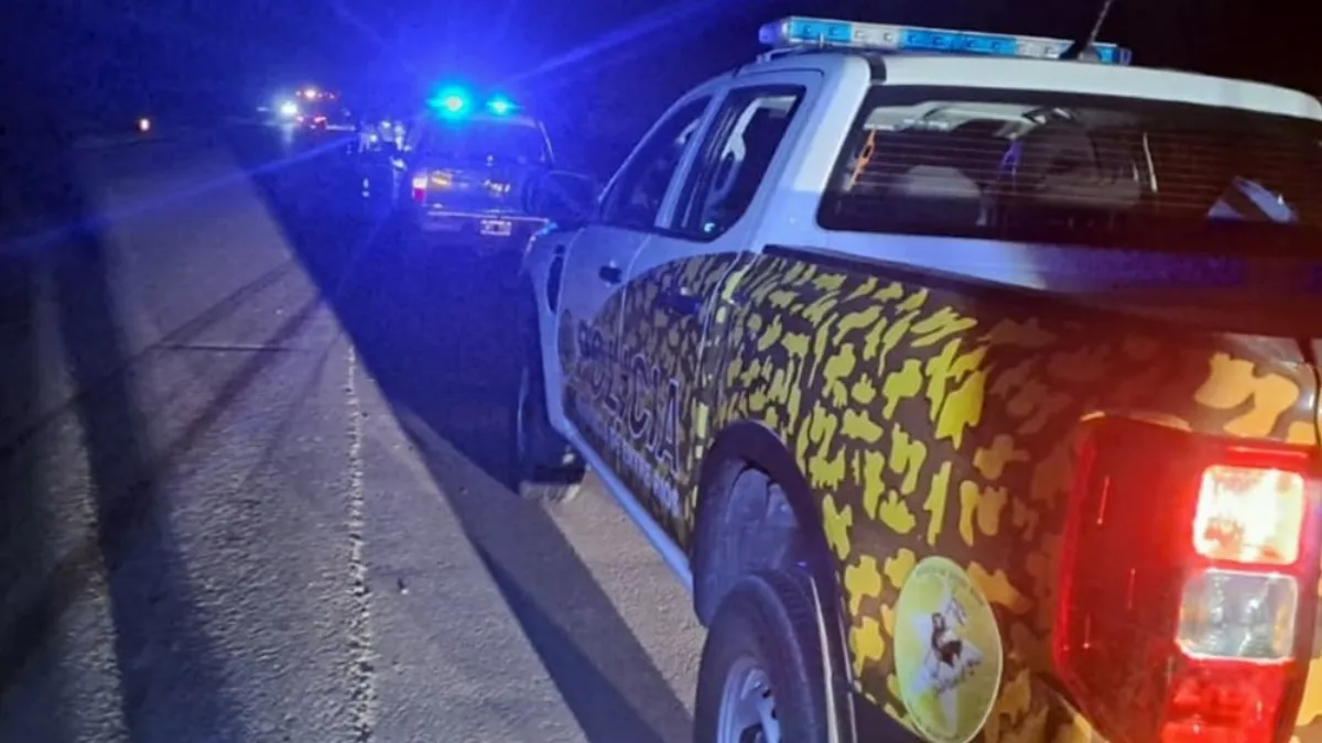 Un camión chocó un animal vacuno en la ruta 14