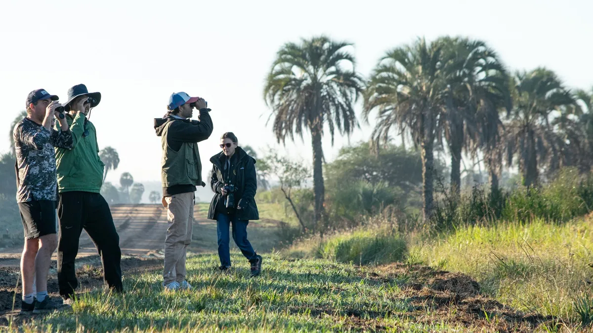 "El Palmar" se suma al Global Big Day con actividades para amantes de las aves