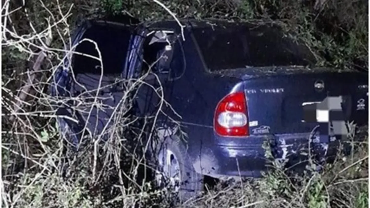 Automóvil despistó al esquivar un animal en la ruta 6