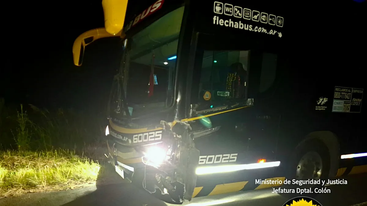 Un colectivo embistió contra un animal bovino en la ruta 14
