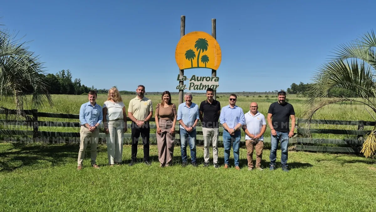 Presentaron la "Ruta del arroz, vino y yatay" como nueva propuesta turística en Entre Ríos