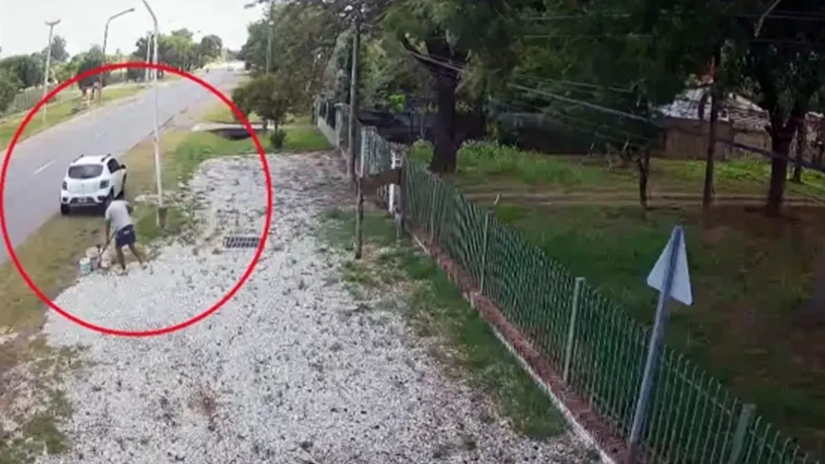 Artista que se presentará en el Taipero escrachó a un ladrón de piedras decorativas