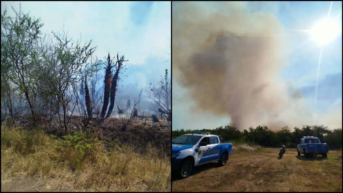 Se produjo un incendio en una zona de montes en un establecimiento rural