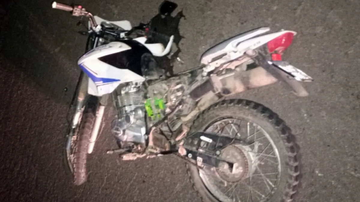 Un motociclista murió en la ruta 23 tras chocar un perro