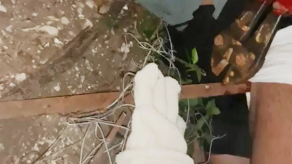 Cayó de un árbol y se le incrustó una planchuela en la pierna