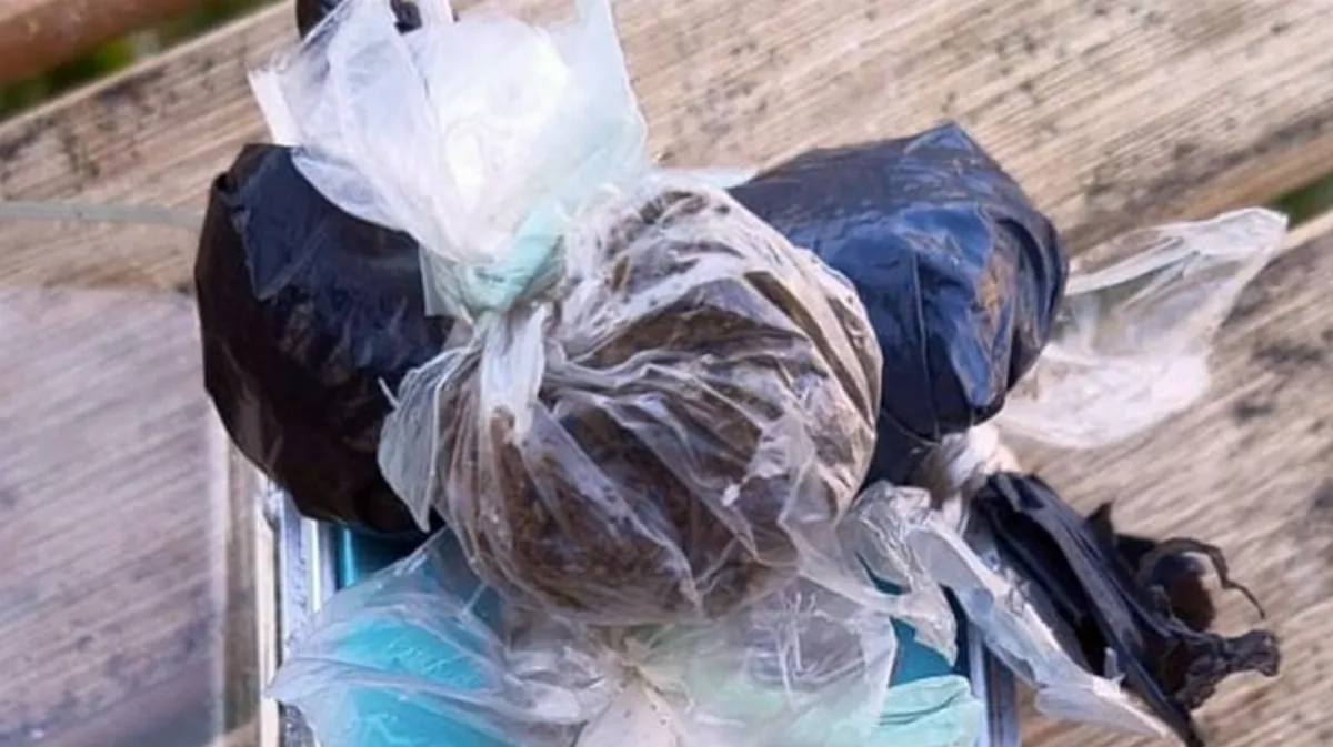 Operativo antinarcóticos en barrio Capricornio con secuestro de drogas y detenidos