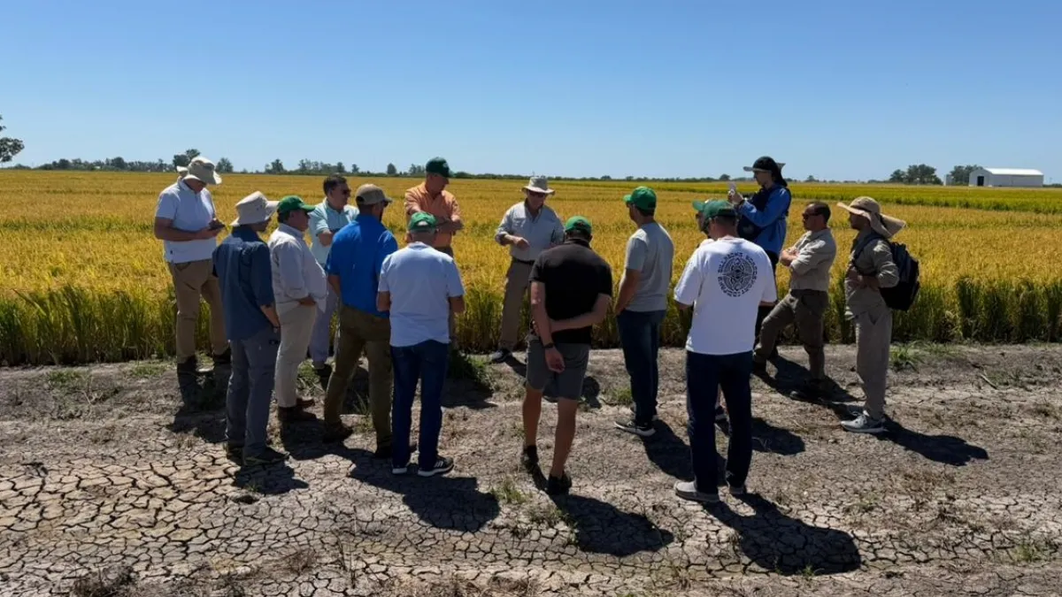 Productores arroceros españoles visitaron San Salvador para fortalecer vínculos técnicos e institucionales