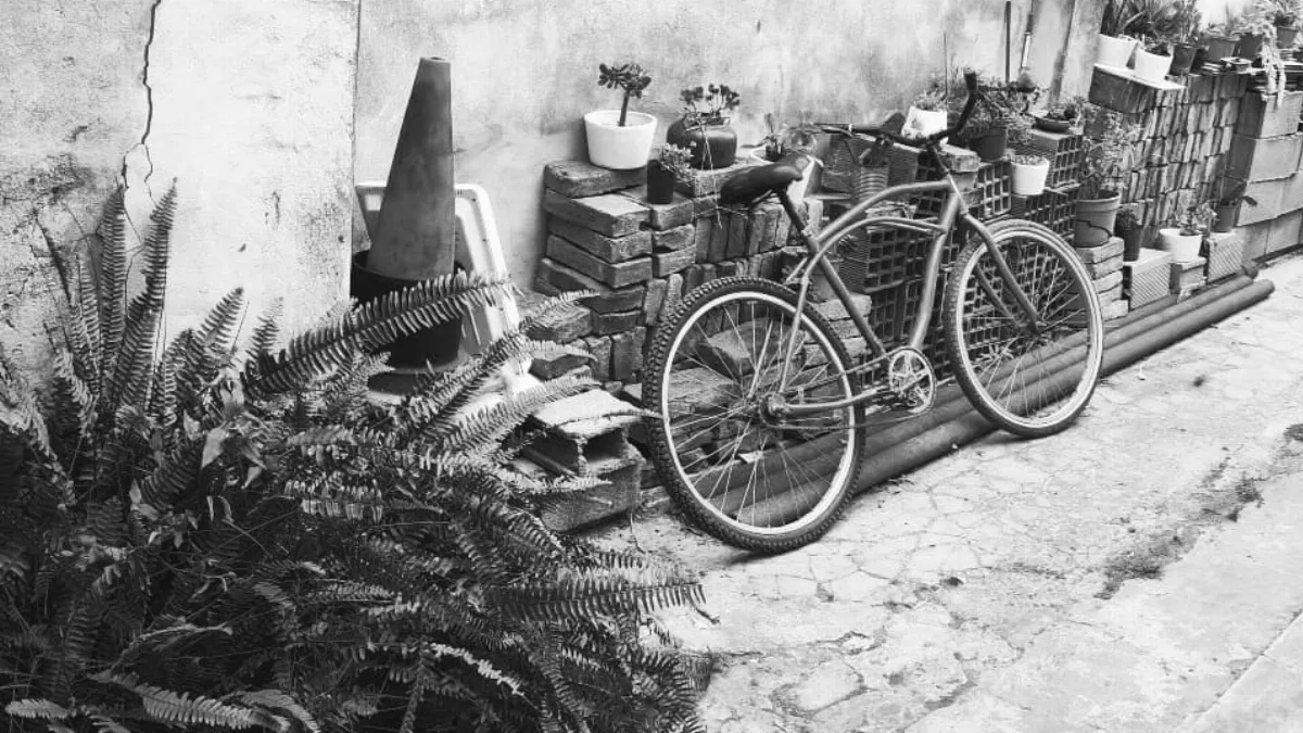 Allanaron el domicilio de un conocido escritor local por una supuesta causa por lesiones Allanaron el domicilio de un conocido escritor local por una supuesta causa por lesiones