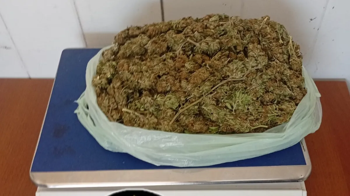 Incautaron marihuana en un operativo vehicular en Brazo Largo