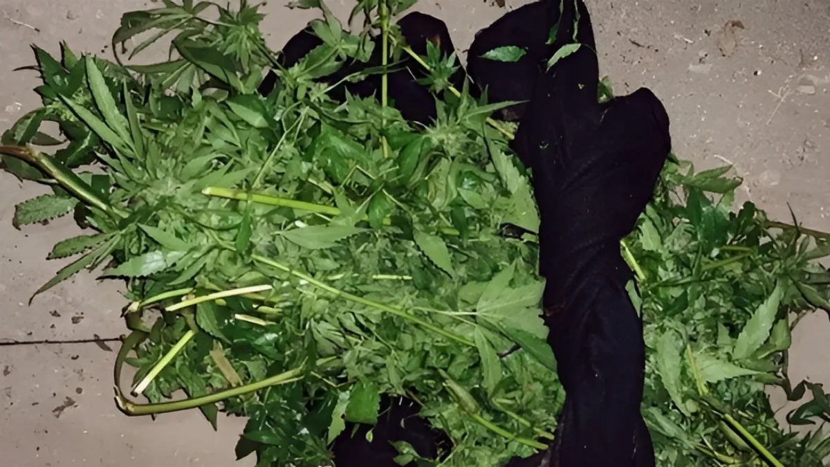 Detienen a un joven por tentativa de robo, amenazas y tenencia de droga en Villaguay