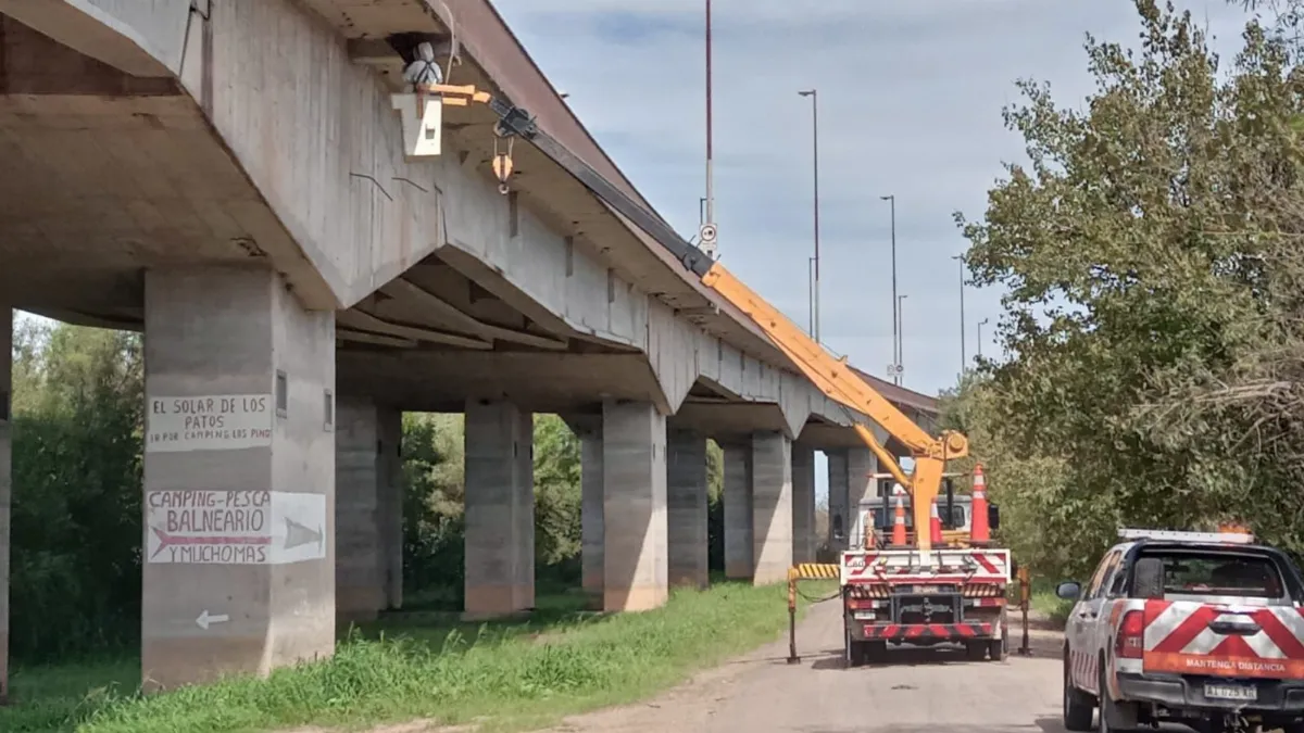 Avanzan obras y tareas de mantenimiento en rutas 12 y 14