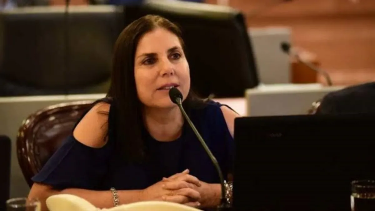 Suicidios: Lena habló de "falta de planificación durante décadas"