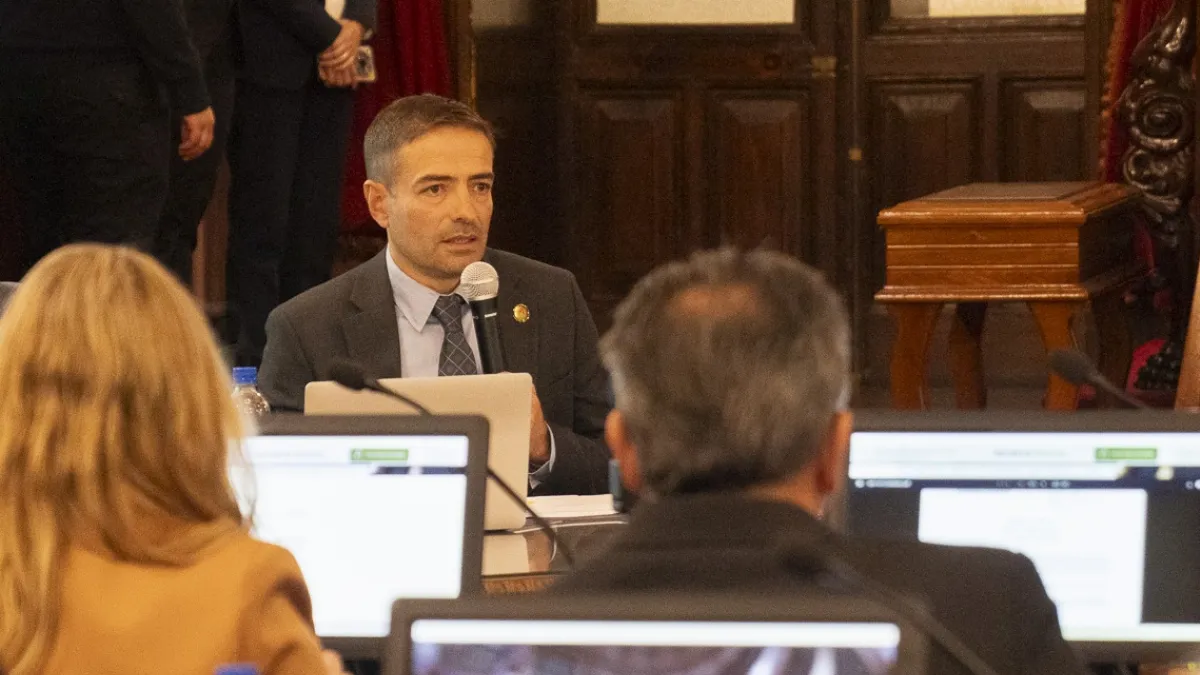 Preocupación por suicidios en Entre Ríos: Blanzaco expuso datos en Diputados