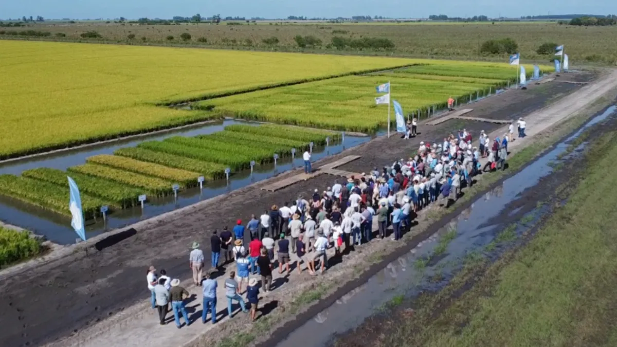 Proponen crear un área de resguardo ambiental de 500 metros alrededor del campo experimental de Fundación Proarroz