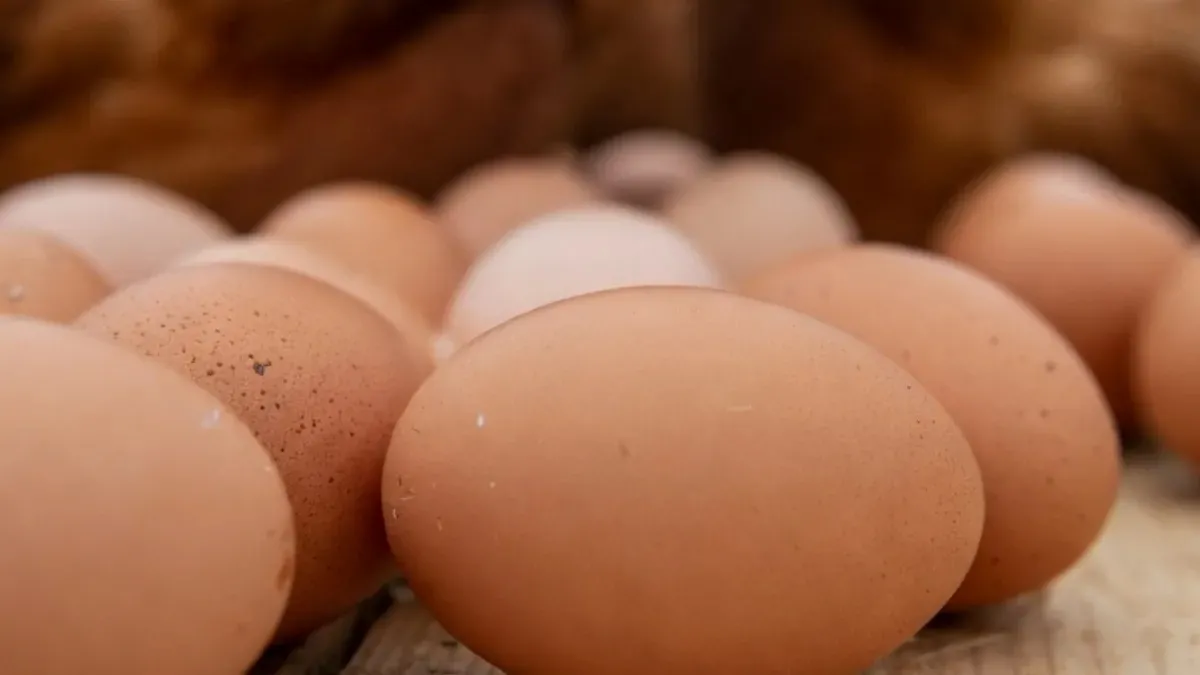 Argentina se posicionó como el mayor consumidor de huevos del mundo