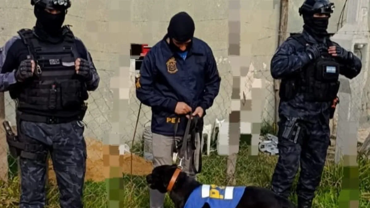 Detuvieron a una mujer y secuestraron cocaína, marihuana y dinero en un allanamiento por narcomenudeo