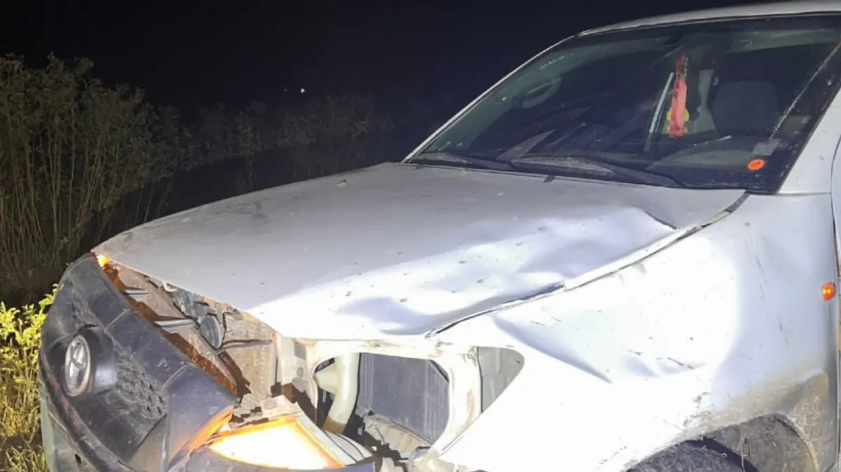 Una camioneta chocó contra un vacuno en un camino vecinal de San Salvador