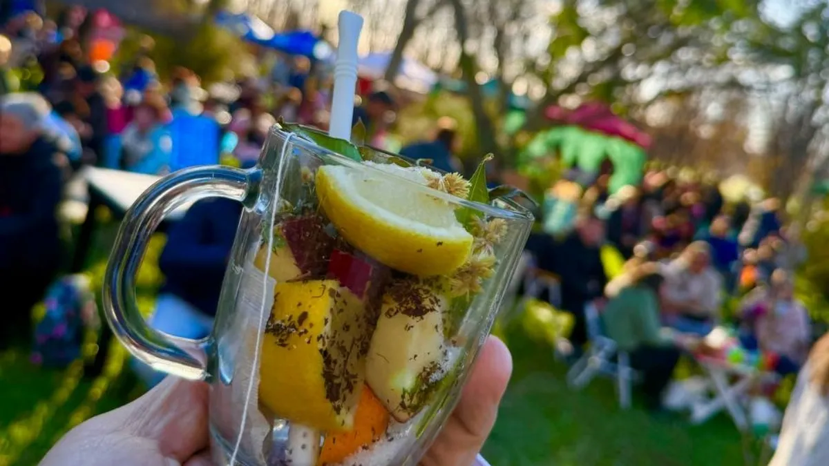 Tradiciones y sabores: el Festival del Mate de Té volvió a convocar a vecinos y visitantes