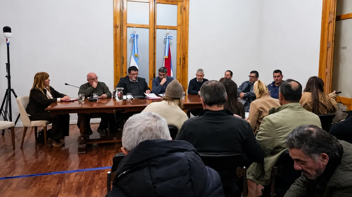 Funcionario de Zambón expuso en el Senado en nombre de los municipales