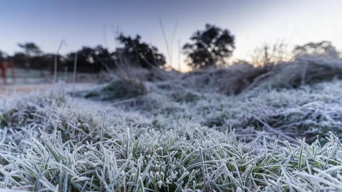 Este miércoles será el día más frío y anticipan otro pulso de aire polar para la próxima semana