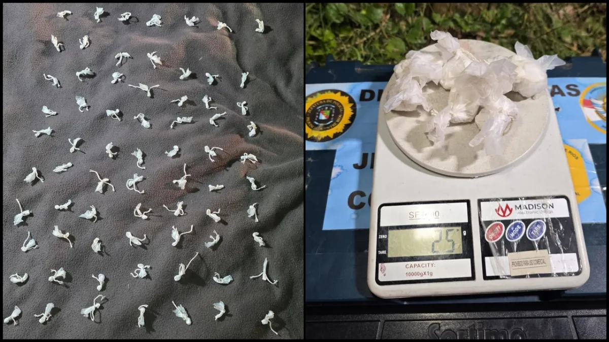Cayó con 120 dosis de cocaína tras intentar escapar de la Policía