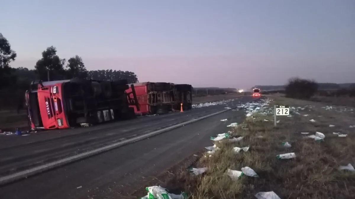 El vuelco de un camión provocó demoras en la ruta 14 a la altura de Ubajay