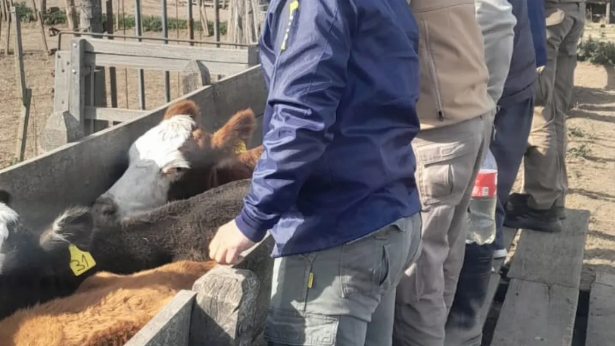 Recuperaron toda la hacienda en una millonaria estafa por más de $150 millones