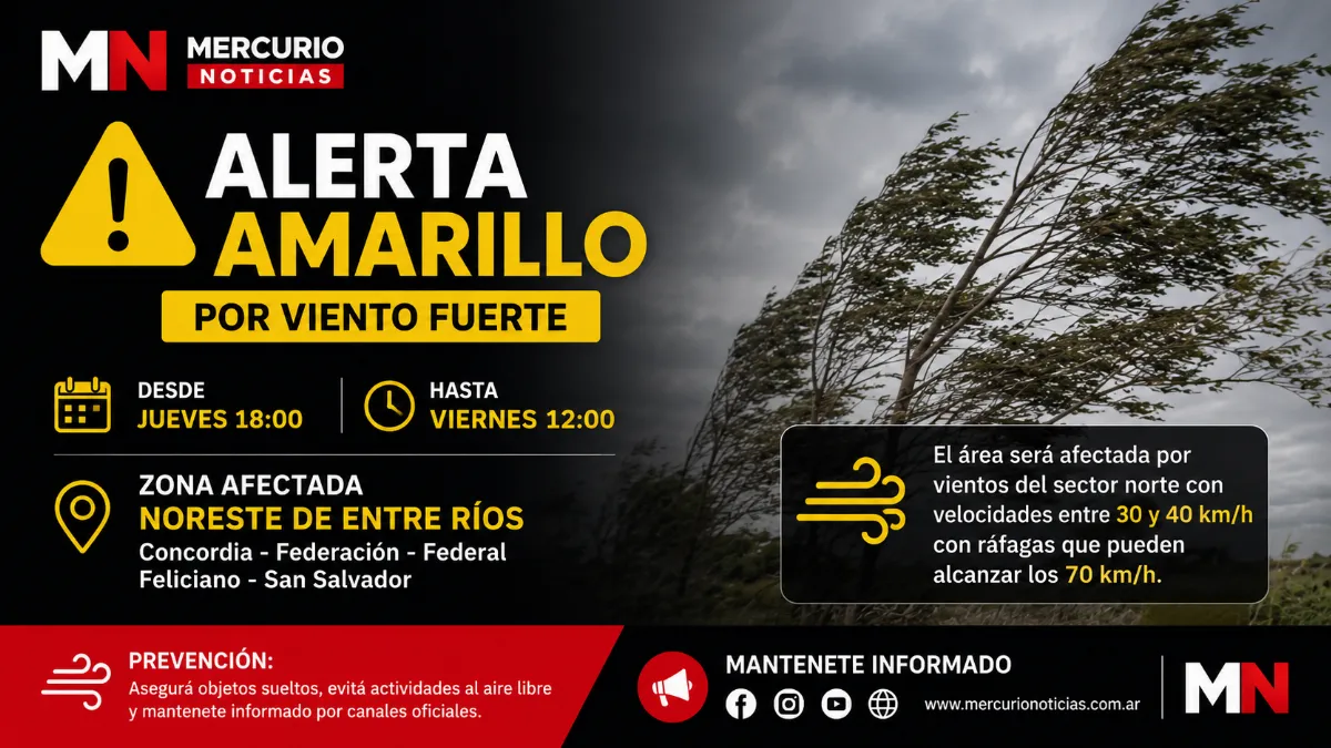 Anuncian un alerta amarillo por vientos fuertes para el noreste de Entre Ríos