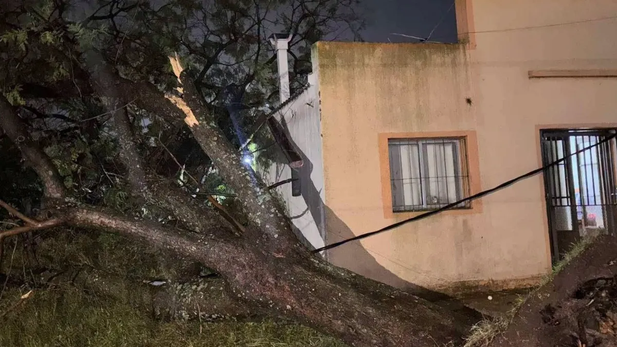 Fuerte temporal en la región: una mujer murió en Salto y miles de usuarios quedaron sin luz en Entre Ríos