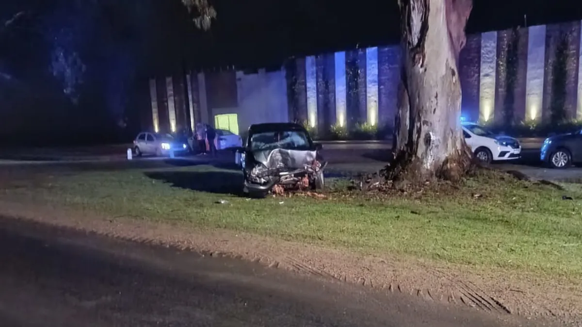 Un automóvil impactó contra un árbol sobre la ruta 20