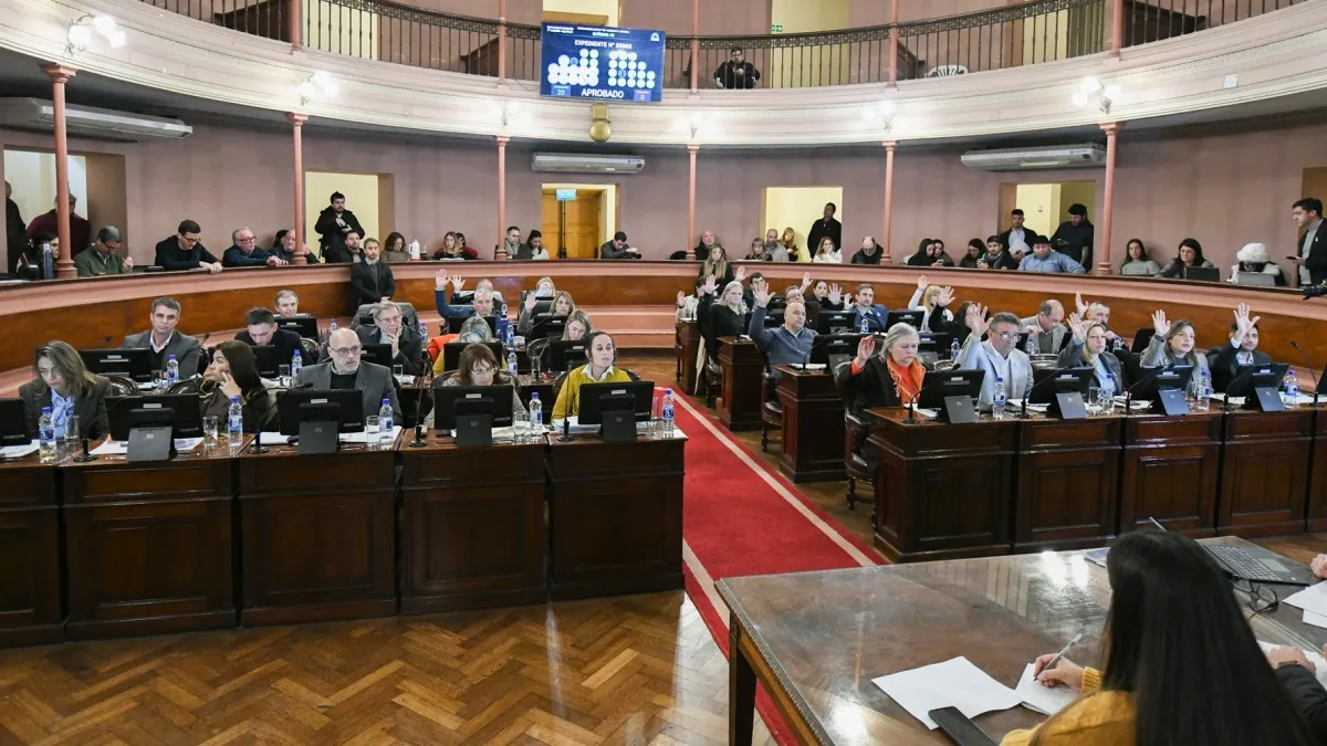 Diputados dio media sanción al proyecto de alivio impositivo para el comercio entrerriano