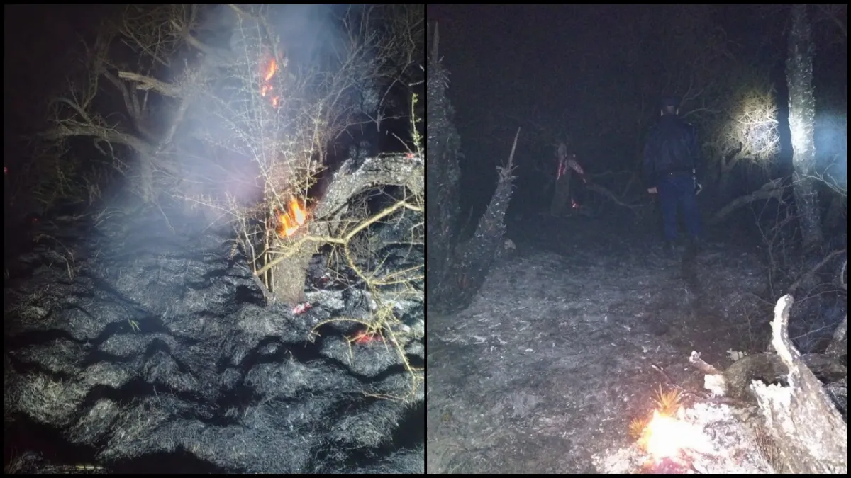 Bomberos controlaron un incendio forestal en Mojones Sud