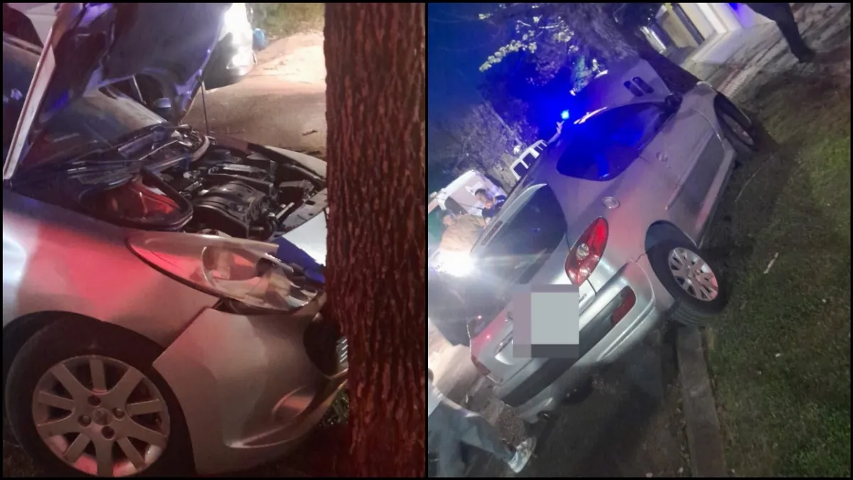 Una conductora chocó contra un árbol y salió ilesa en Paraná