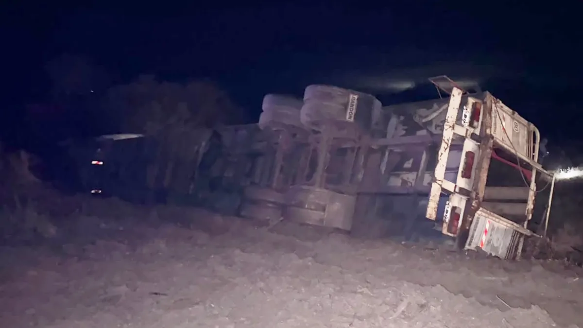 Un camión con ganado volcó sobre la ruta 6