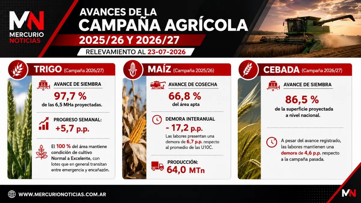 La cosecha de maíz sigue demorada y la siembra de trigo ya cubre casi el 98% del área proyectada