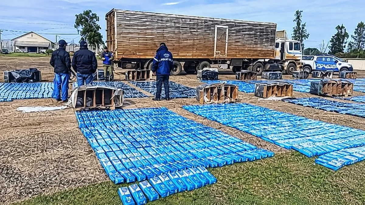 Transportaban miles de cartones de cigarrillos y 350 kilos de pescado en encomiendas