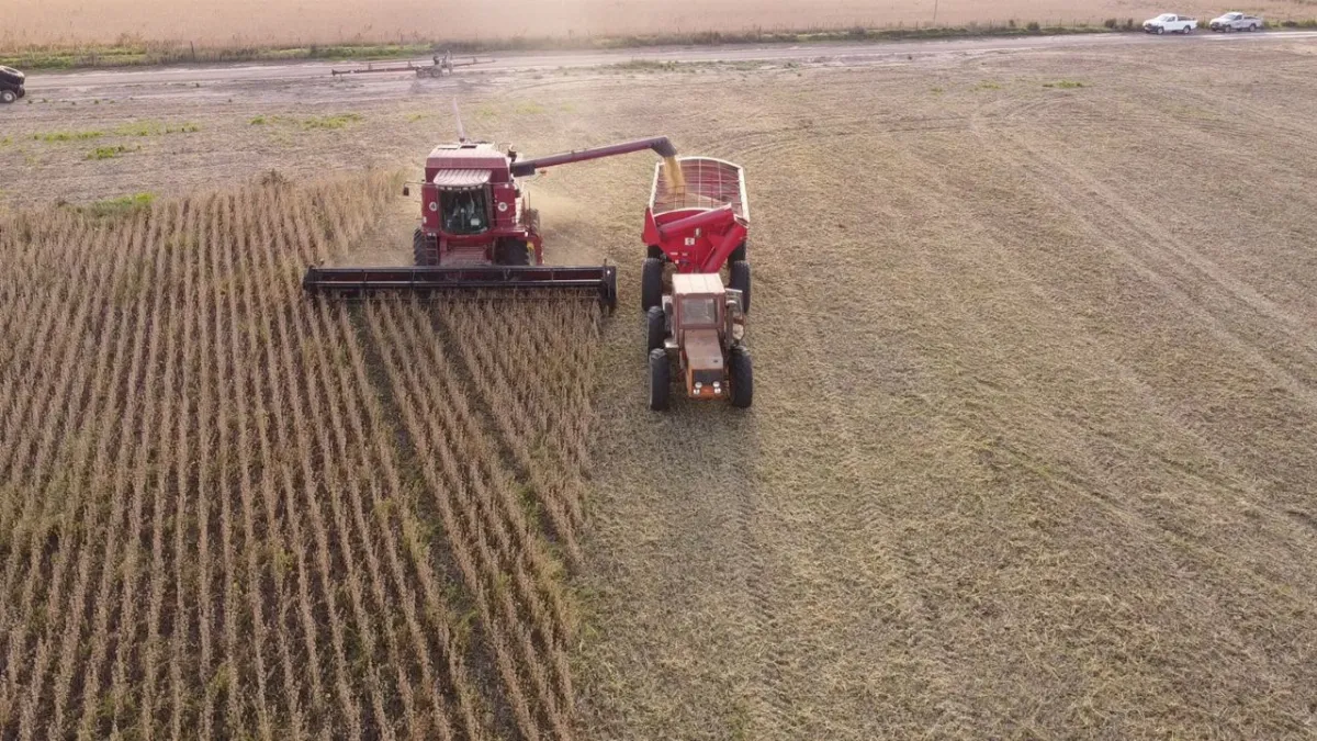 Entre Ríos logró el mejor rendimiento agrícola de los últimos 25 años