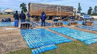 Transportaban miles de cartones de cigarrillos y 350 kilos de pescado en encomiendas