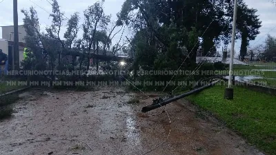 General Campos sufrió una fuerte granizada: hubo importantes daños