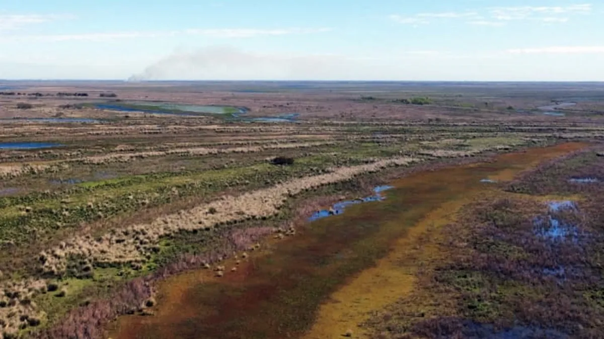 Entre Ríos y Santa Fe despliegan un operativo de monitoreo por focos de quema en el Delta