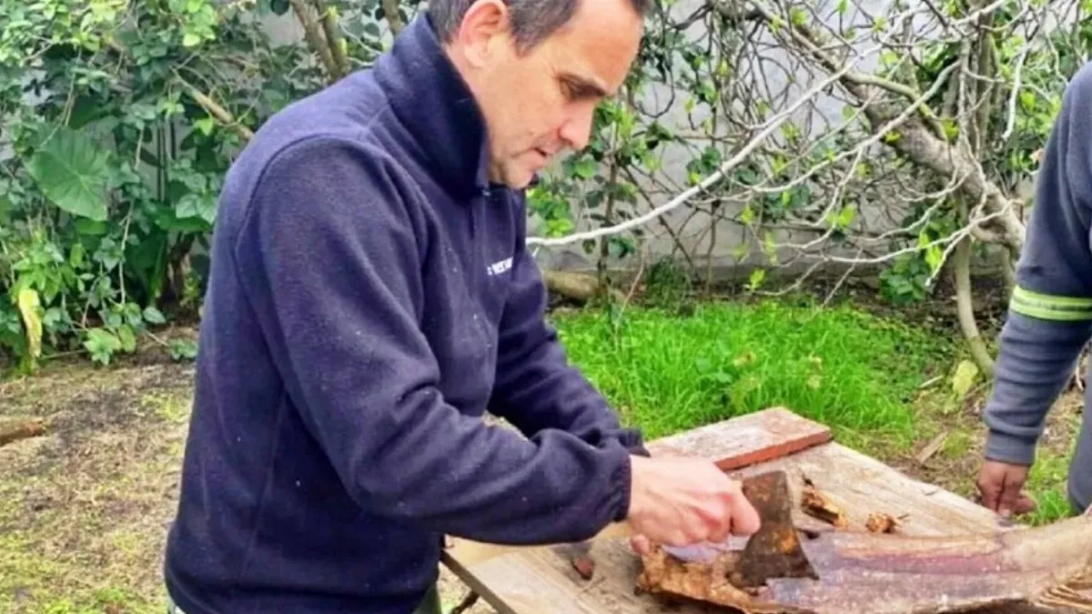 SENASA descartó el picudo rojo en muestras analizadas en Larroque y Urdinarrain