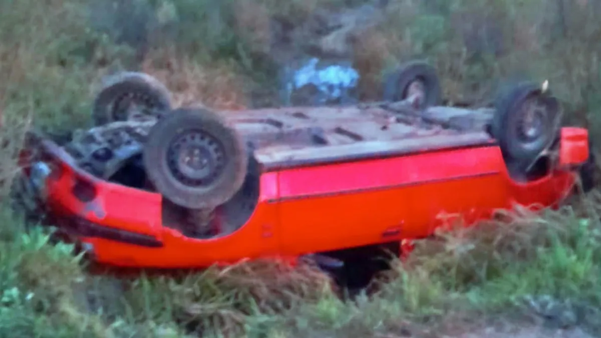 Intentó esquivar un ciervo, perdió el control y volcó en una alcantarilla en la ruta 37